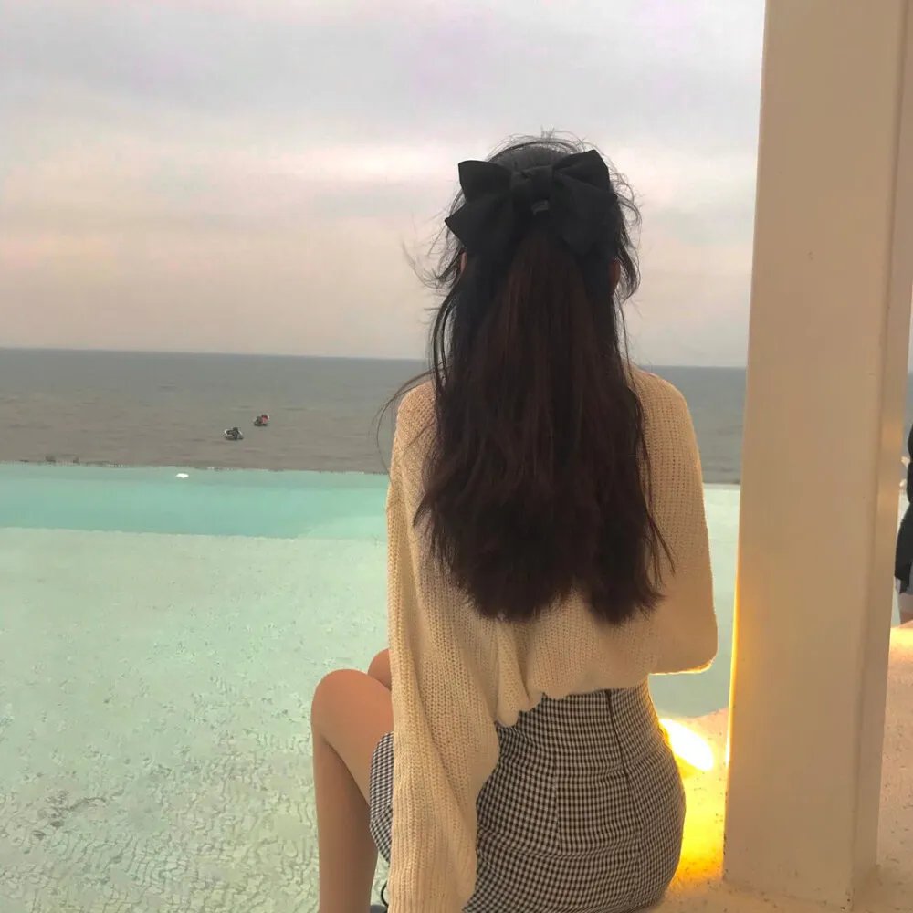 两面间谍